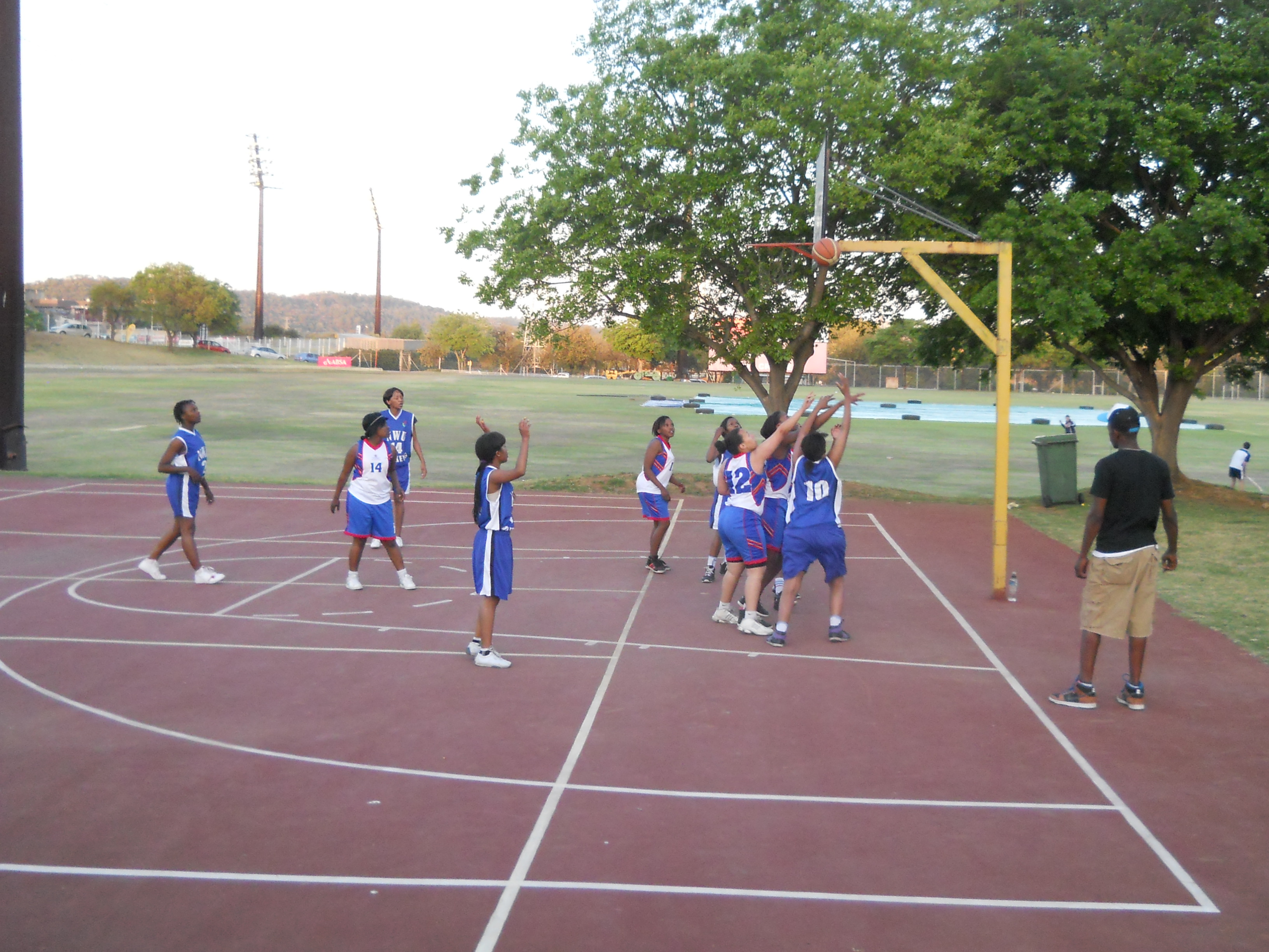 basketball court
